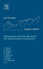Cover: String Theory and the Real World: From particle physics to astrophysics: Volume 87 - Elsevier