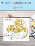 Cover: Reptiles - Learn & Color Books