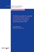 Cover: Directives 2019/790 et 2019/789 sur le droit d'auteur dans le march&eacute; unique num&eacute;rique - Bruylant