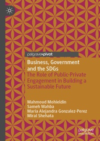 Abbildung von: Business, Government and the SDGs - Palgrave Macmillan