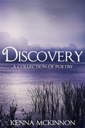 Cover: Discovery - Next Chapter