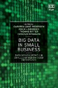 Enlarge image Cover: Big Data in Small Business - Edward Elgar Publishing