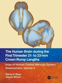 Enlarge image Cover: The Human Brain during the First Trimester 21- to 23-mm Crown-Rump Lengths - CRC Press