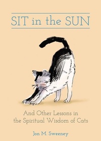 Enlarge image Cover: Sit in the Sun - Broadleaf Books