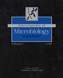 Cover: Encyclopedia of Microbiology, Four-Volume Set - Academic Press