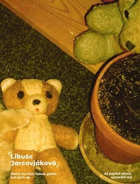 Enlarge image Cover: Libuse Jarcovjáková - efau verlag