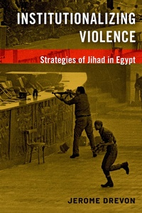 Enlarge image Cover: Institutionalizing Violence - OUP eBook