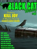 Cover: Black Cat Weekly #41 - Wildside Press