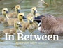 Cover: In Between - Beach Lane Books