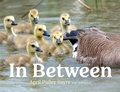 Cover: In Between - Beach Lane Books