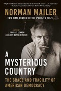 Cover: A Mysterious Country - Arcade Publishing