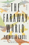 Cover: The Faraway World - Avid Reader Press
