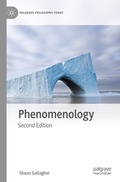 Cover: Phenomenology - Palgrave Macmillan