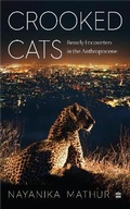 Cover: Crooked Cats - HarperCollins Publishers India