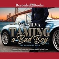 Cover: Taming a Bad Boy - Recorded Books, Inc.