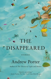 Enlarge image Cover: The Disappeared - Vintage