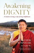 Cover: Awakening Dignity - Shambhala