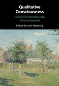 Cover: Qualitative Consciousness - Cambridge University Press