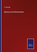 Cover: Spinoza und Schleiermacher - Outlook