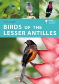 Bild: Birds of the Lesser Antilles - Helm