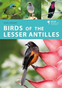 Bild: Birds of the Lesser Antilles - Helm