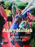 Cover: Anwyddoldeb - Cyhoeddiadau Barddas