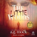 Cover: The Little Woods - Tantor Audio