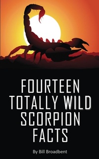 Abbildung von: Fourteen Totally Wild Scorpion Facts - IngramSpark