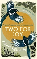 Cover: Two for Joy - Sphere