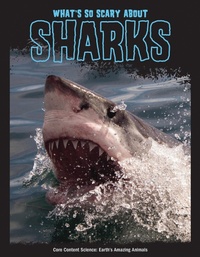 Abbildung von: What's So Scary about Sharks? - Red Chair Press