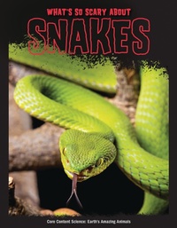 Abbildung von: What's So Scary about Snakes? - Red Chair Press