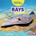 Cover: Rays - Lerner Publications Co ,U.S.