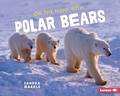 Cover: On the Hunt with Polar Bears - Lerner Publications Co ,U.S.