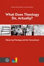 Cover: What Does Theology Do, Actually? - Evangelische Verlagsanstalt