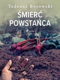 Cover: Smierc powstanca - Saga Egmont