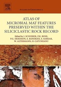 Cover: Atlas of Microbial Mat Features Preserved within the Siliciclastic Rock Record: Volume 2 - Elsevier