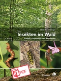 Abbildung von: Insekten im Wald - Haupt Verlag