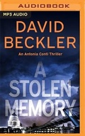 Cover: A Stolen Memory - Brilliance Audio