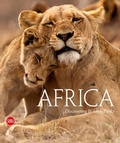 Cover: Africa - Skira