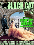 Cover: Black Cat Weekly #42 - Wildside Press