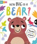 Cover: How Big is a Bear? - Two Windmills Limited