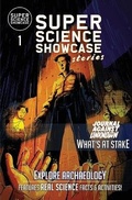 Cover: What's at Stake - Wonder Mill Cosmos