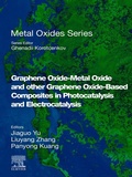 Cover: Graphene Oxide-Metal Oxide and other Graphene Oxide-Based Composites in Photocatalysis and Electrocatalysis - Elsevier