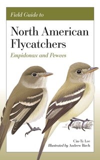 Abbildung von: Field Guide to North American Flycatchers - Princeton University Press