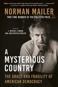 Enlarge image Cover: A Mysterious Country - Arcade Publishing