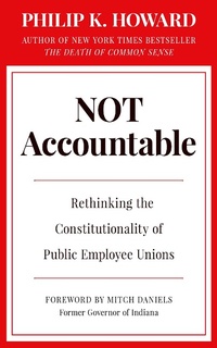 Enlarge image Cover: Not Accountable - Rodin Books
