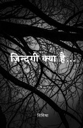 Cover: Zindagi Kya Hai... / ???????? ???? ??... - Notion Press