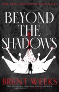 Cover: Beyond the Shadows - Orbit