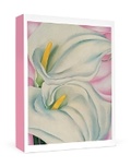 Cover: Gustave Baumann: The Bishop's Apricot Small Boxed Cards - Pomegranate Communications
