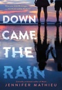 Cover: Down Came the Rain - St Martin's Press